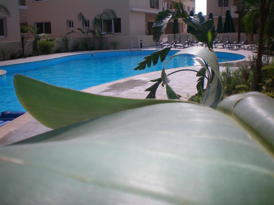 Apartment 104 Excellent 2 Bed With Pool View, Ac & Gym!