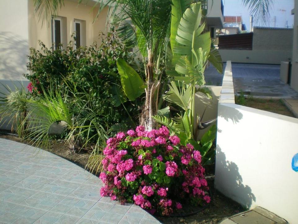 104 Excellent 2 Bed With Pool View, Ac & Gym! Apartment